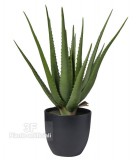 ALOE X 17 h cm 55 - GREEN-Aloe artificiale, piante grasse artificiali