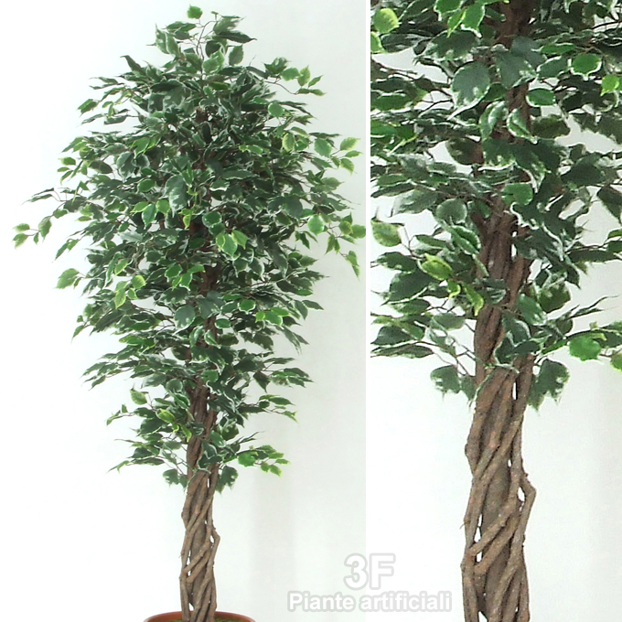 3F Piante Artificiali - V - FICUS BENJAMIN ECO VARIEGATO - ALTEZZA CM 125 Ø  VASO CM 18 - 3F Piante Artificiali