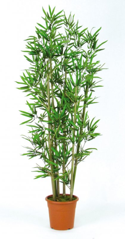 ideale per la decorazione domestica albero artificiale 105 cm pianta artificiale Bambù artificiale di canne naturali