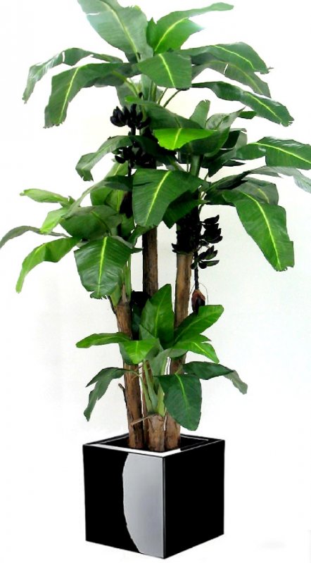 Albero di Banano Artificiale Pianta Finta per Interno ed Esterno  Decorazione82cm