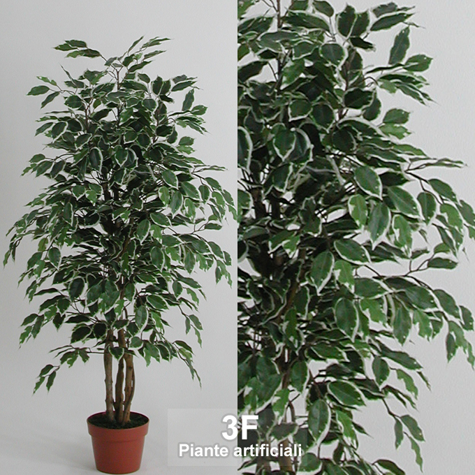 3F Piante Artificiali - V - FICUS BENJAMIN ECO VARIEGATO - ALTEZZA CM 125 Ø  VASO CM 18 - 3F Piante Artificiali