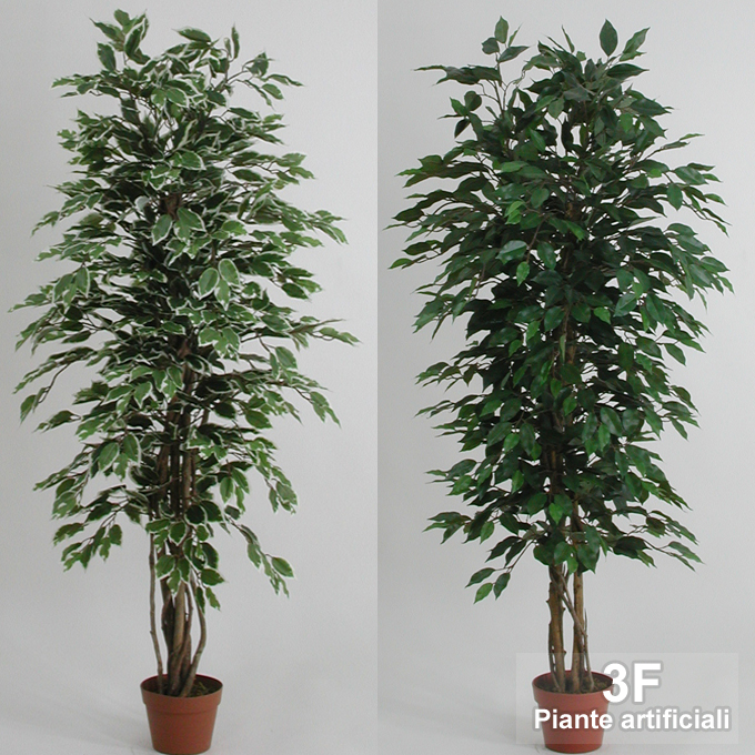 3F Piante Artificiali - V - FICUS BENJAMIN ECO VARIEGATO - ALTEZZA CM 125 Ø  VASO CM 18 - 3F Piante Artificiali