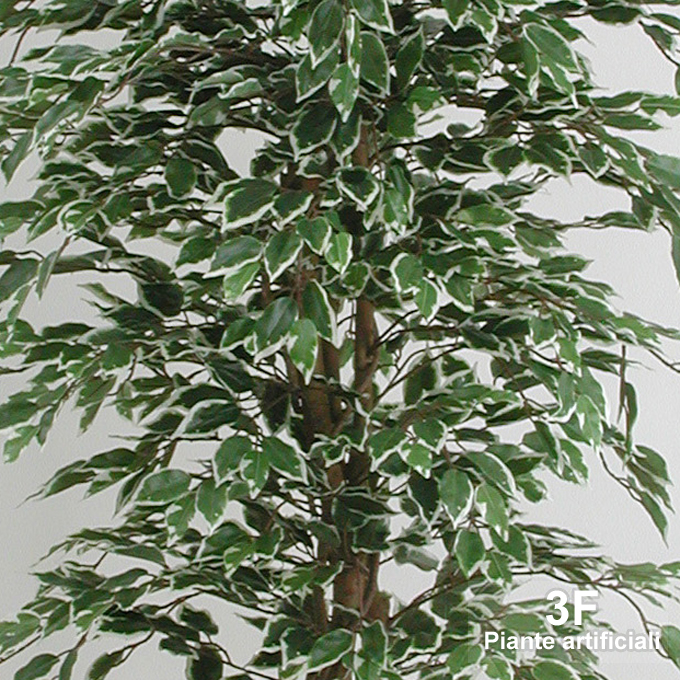 3F Piante Artificiali - V - FICUS BENJAMIN ECO VARIEGATO - ALTEZZA CM 125 Ø  VASO CM 18 - 3F Piante Artificiali