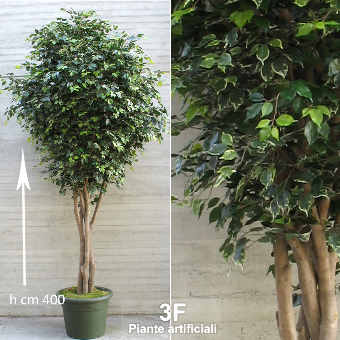 VASO ALTO FICUS 60 CON LUCE – Newgarden Shop IT