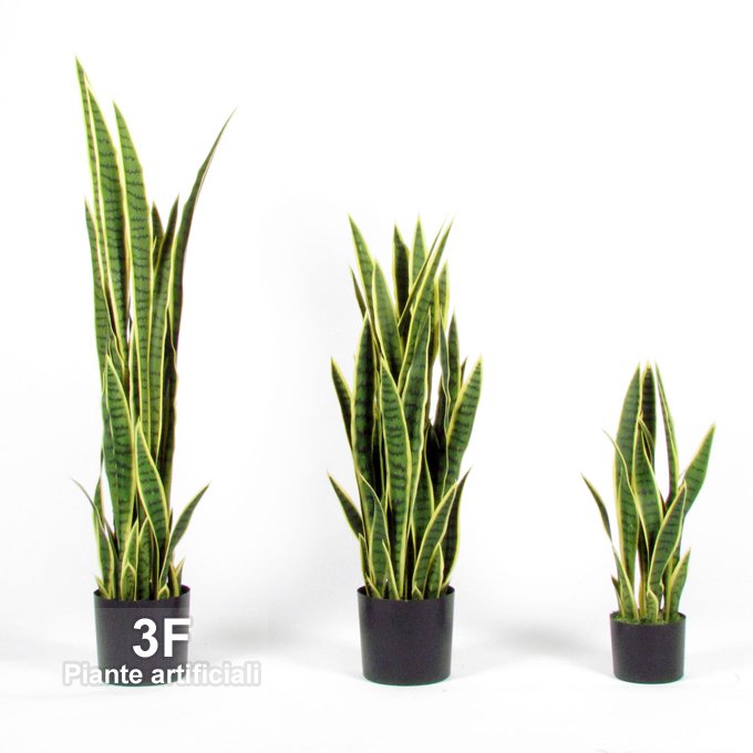 3F Piante Artificiali - V - SANSEVERIA h cm 65 Variegata UVR - Small -  ALTEZZA CM 65 Ø VASO cm 15 x h 13 - 21 foglie UVResitant - resistente ai  raggi solari, adatto all'uso esterno - 3F Piante Artificiali