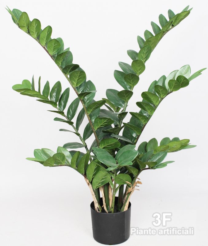 3F Piante Artificiali - V - ZAMIOCULCAS H cm 90 - ALTEZZA CM 90 x 178  foglie Real Touch Ø VASO CM 18 - 3F Piante Artificiali