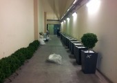 Lavorazione piante artificiali