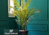 Piante artificiali 092724001