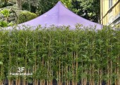 Piante artificiali 042325001
