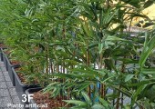Piante artificiali 022525005