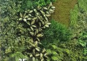 Piante artificiali 022525001