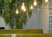 Piante artificiali 012125001
