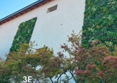 Piante artificiali 082724001