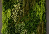 Piante artificiali 260717-032