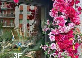 Piante artificiali 042225001