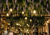 Piante artificiali 260717-022