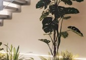 Piante artificiali 031125001