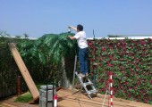 piante artificiali da esterni