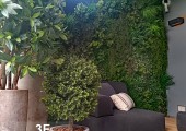 Piante artificiali 071224003