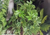 Piante artificiali 022525002