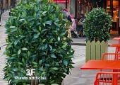 piante artificiali 031824003