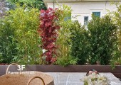 Piante artificiali 041825001