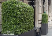 Siepe artificiale 3D Bosso Murraya