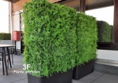 Siepe artificiale 3D Jungle Fern