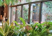 Piante artificiali 013125001
