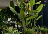 Piante artificiali 260717-018