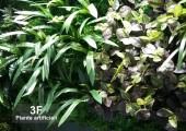 piante artificiali 0430001