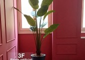 Piante artificiali 092724003