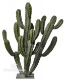 CACTUS TEXANO h cm 104 - GREEN-Cactus Texano artificiale, piante grasse artificiali.