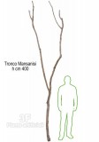 TRONCO NATURALE MANSANISI h cm 400-Piante artificiali, tronchi naturali, tronchi veri per piante artificiali semi naturali, tronchi naturali stabilizzati