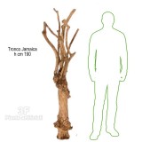 TRONCO NATURALE JAMAICA h cm 190-Piante artificiali, tronchi naturali, tronchi veri per piante artificiali semi naturali, tronchi naturali stabilizzati