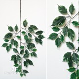 FICUS ELEGANCE X 44 VARIEGATO - RAMO-piante finte - ramo ficus benjamin artificiale elegance var