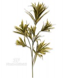 Dracena Reflexa cm 90 variegata-Piante finte, Dracena Reflexa artificiale, Dracaena artificiale
