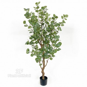 3F Piante Artificiali - V - Ficus Triangularis Luxe cm 150 Verde