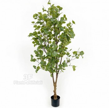 3F Piante Artificiali - V - Ficus Triangularis Luxe cm 180 Verde