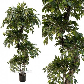 3F Piante Artificiali - V - Ficus Mini Verde - tronco di liana - h cm 180