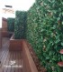 SIEPE ARTIFICIALE PHOTINIA 100 X 100 UVR