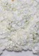 Giardino Verticale Fiorito Bianco cm 50 x 50