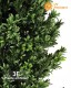 Buddhist Podocarpus cm 165 UVR - verde - Tronco PVC 