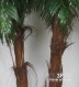 PALMA ARECA COCCO TRUNK (D3213B)