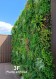 Giardino Verticale Full Eco-Greenwall