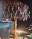 TRONCO NATURALE MAJESTIC h cm 230