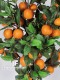 Arancio artificiale