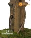 Ficus Benjamin tronco in pvc - UVR