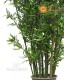 BAMBOO BOSCO SMALL UVR