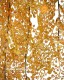 Capelvenere h cm 92 UVR Giallo - Cadente